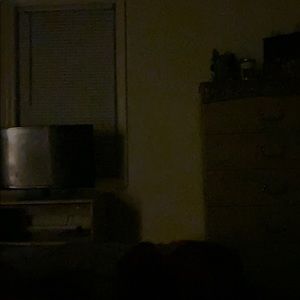 Meet your Posher, Paige